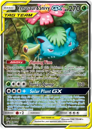 Venusaur and Snivy GX SM229 SM229, SM Promos